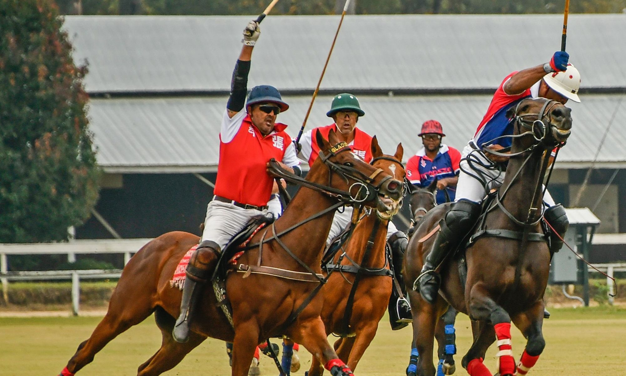Polo is one of the best fall events in Aiken, SC.